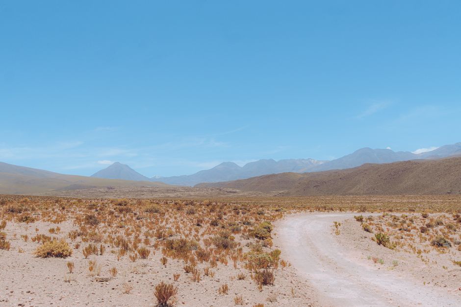 Explore the serene beauty of a desert road winding through Antofagasta, Chile's vast landscape.